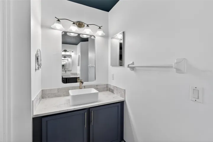 Owner's Suite Sink #2