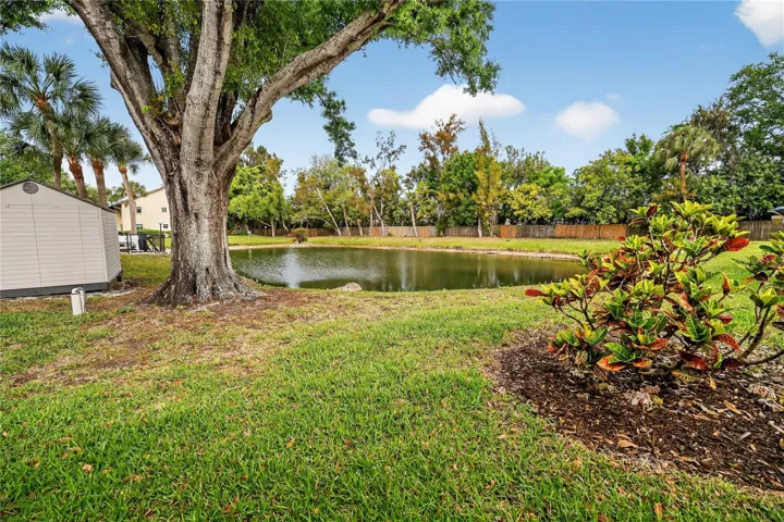 Beautiful Pond View