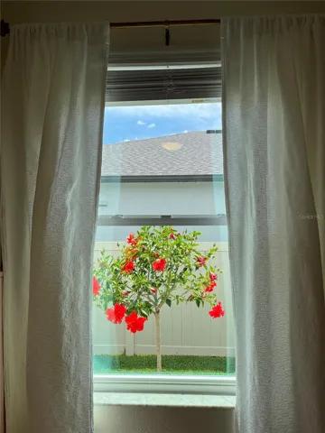 Beautiful Hibiscus!