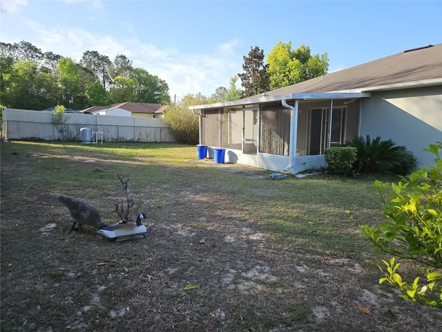 Back Yard