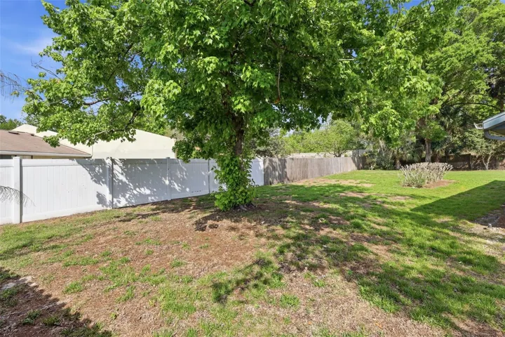 Back  yard