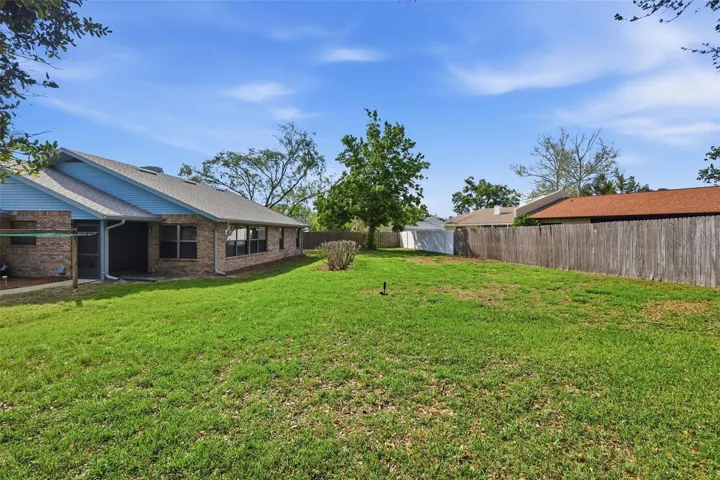 Back yard