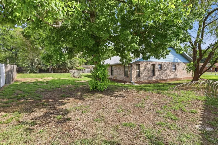 Back yard