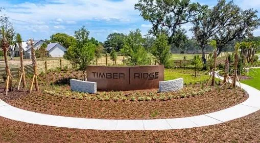 3437 Lumber Falls Dr, Plant City, Florida 33565 — photo 15