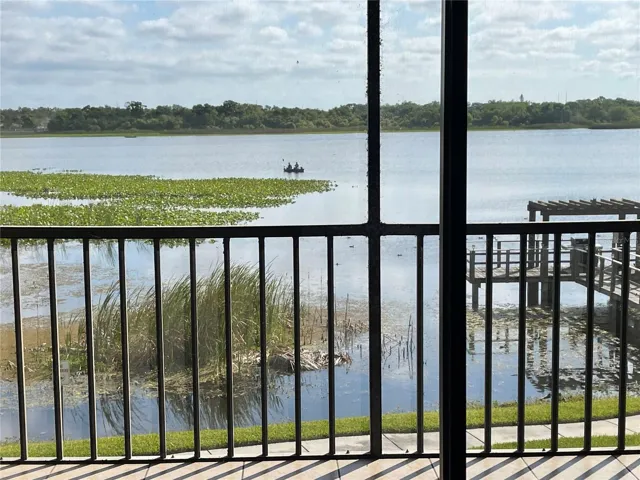 View from rear patio