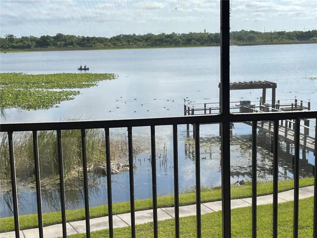 View from rear patio