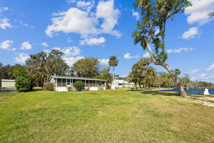 Back yard