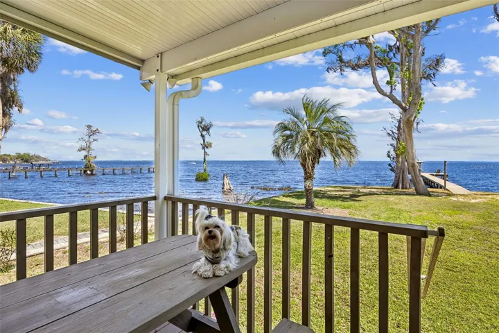 Lil Dottie can't wait for you to see the inside of this adorable home