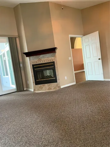 Primary fire place