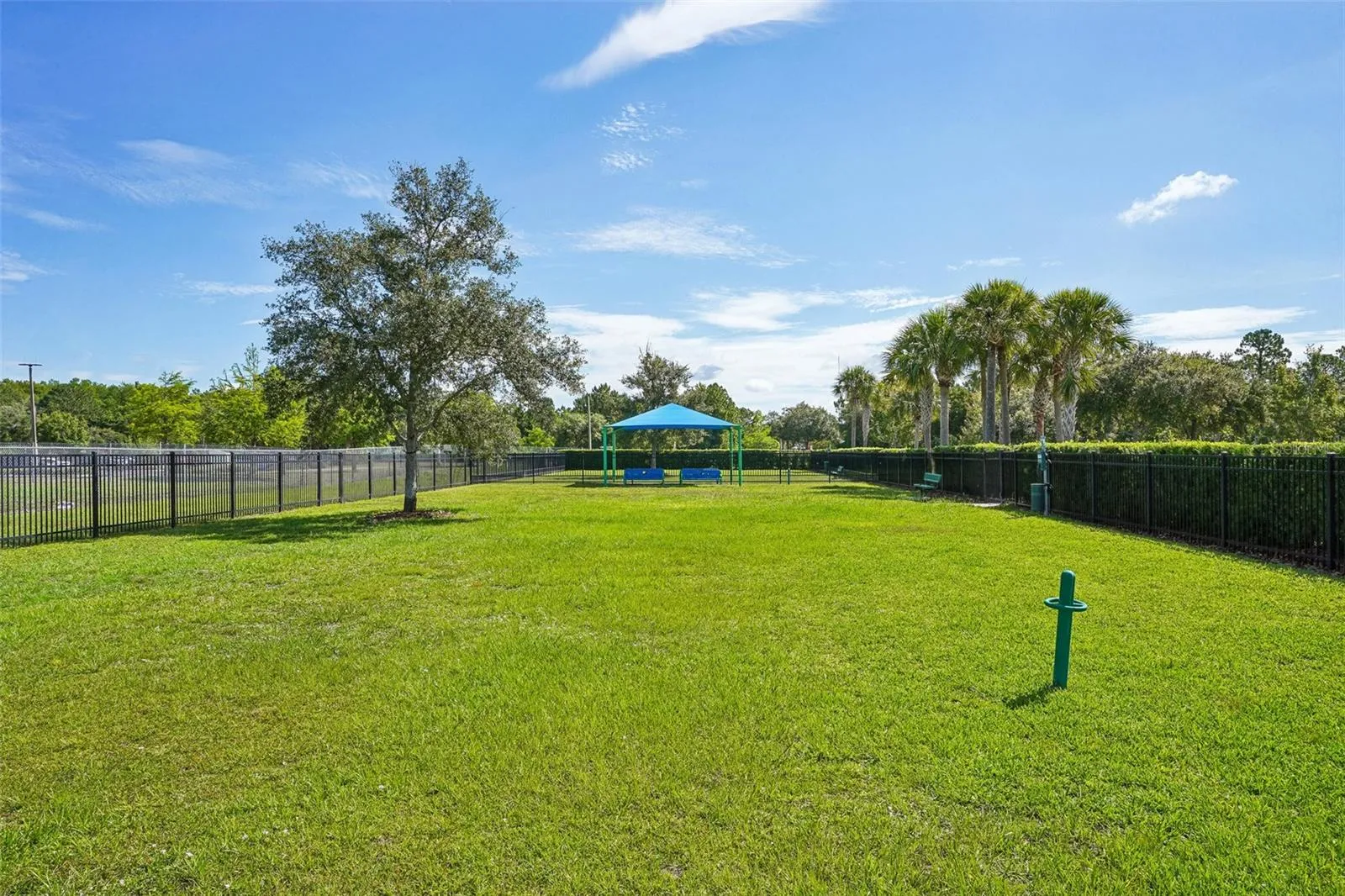 Community Dog Park