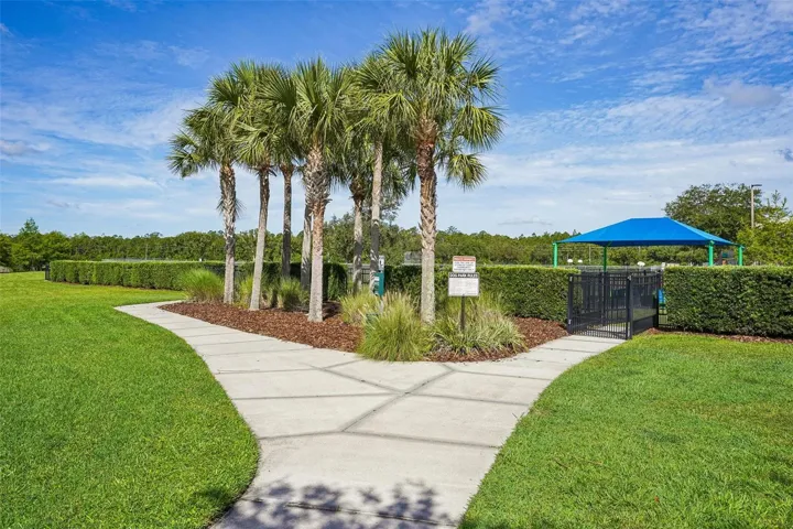 Community Dog Park