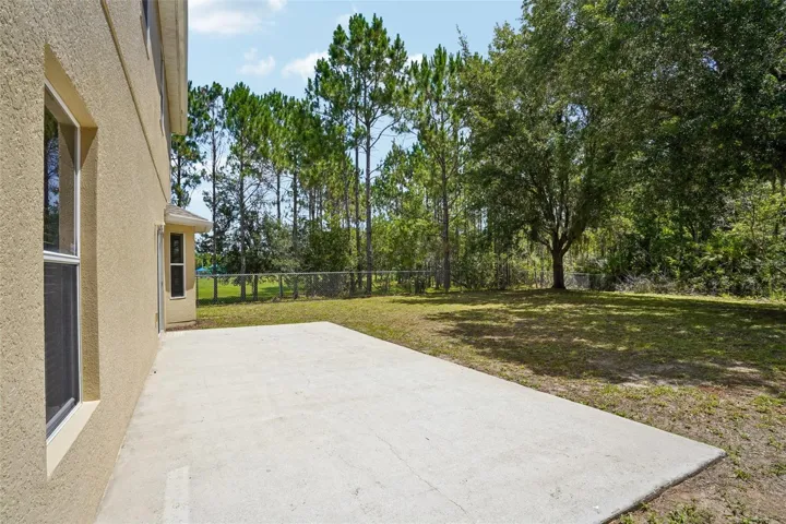 Rear Patio