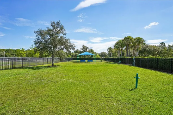 Community Dog Park