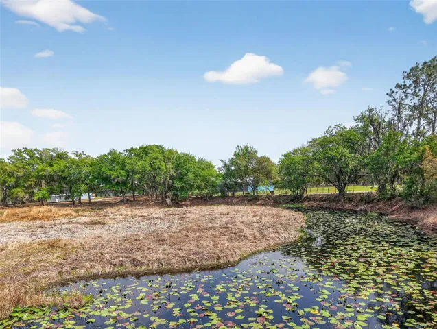 Pond