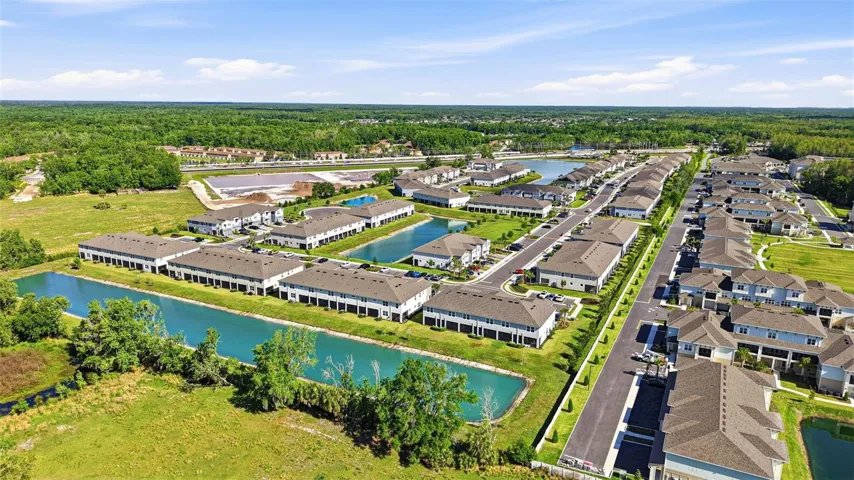 Aerial Of Community