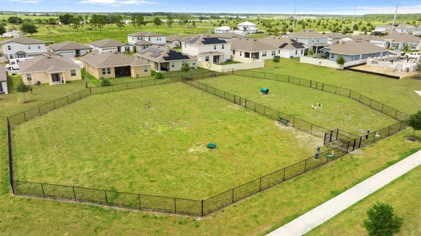 Dog Park