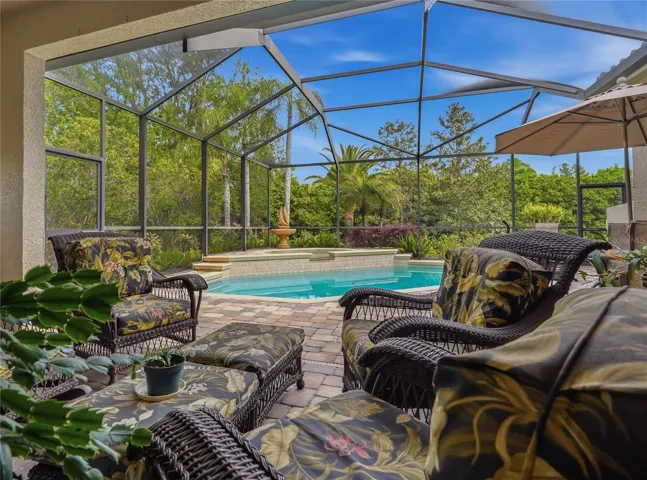 Lanai / Pool