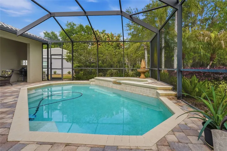 Lanai / Pool