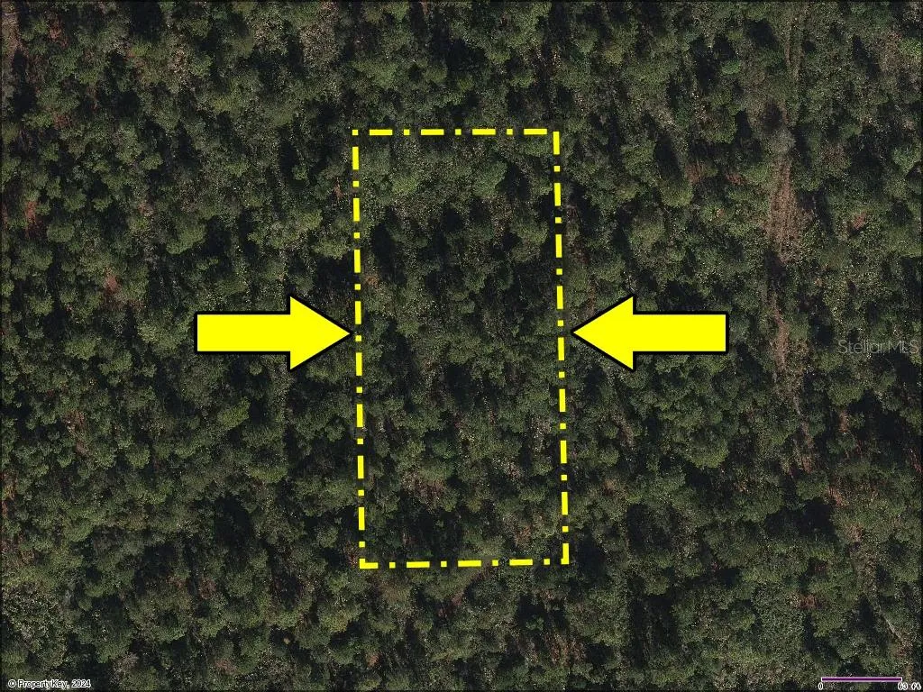 Recreation & Nature: Use the land today to enjoy Florida’s natural beauty—perfect for peaceful nature walks, camping, bird watching, and wildlife observation. As the area matures, the new owner can engage with the County to explore future improvements and infrastructure for this high-growth corridor.