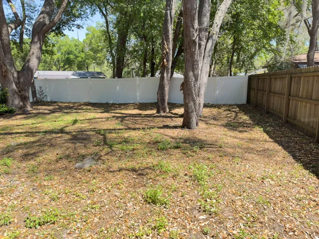 Backyard