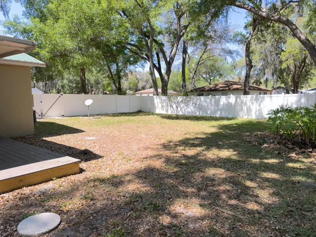 Backyard/Patio