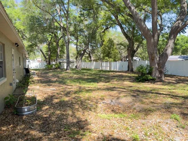Spacious Backyard Patio/ showing on the right side, the Trellis system for a small garden to grow vegetables.