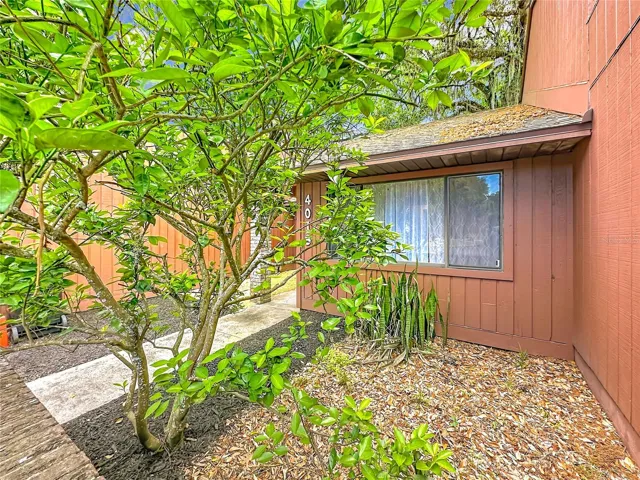Front Entrance/Courtyard