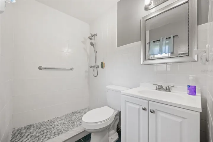 Owner's bathroom