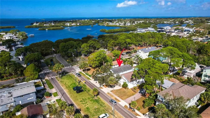 The Neighborhood