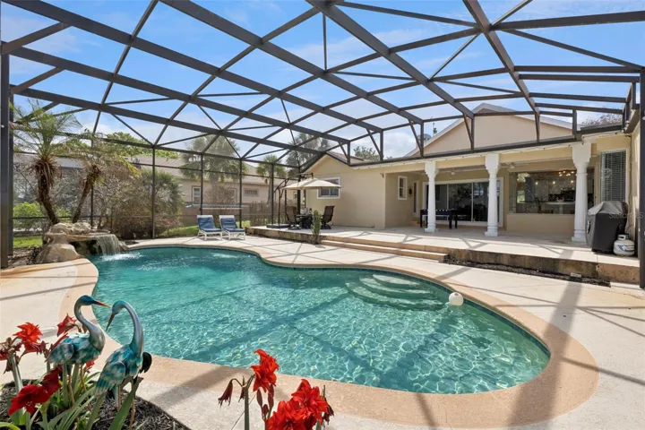 Pool & Lanai