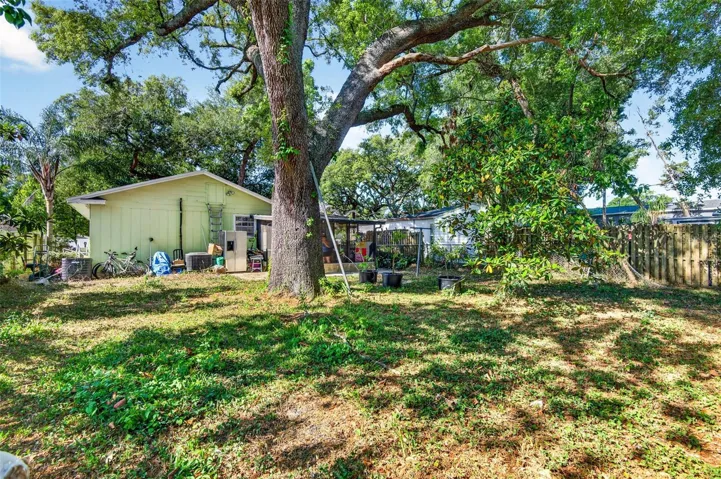 Backyard