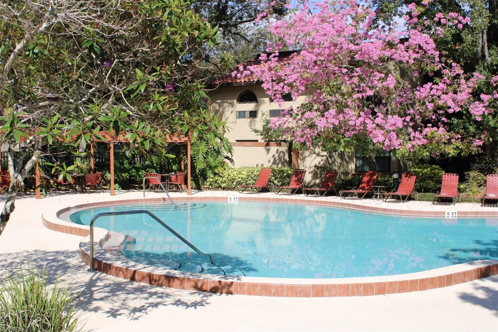 Front Pool