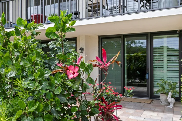 Patio Entrance