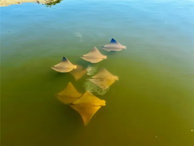 Visitors!!