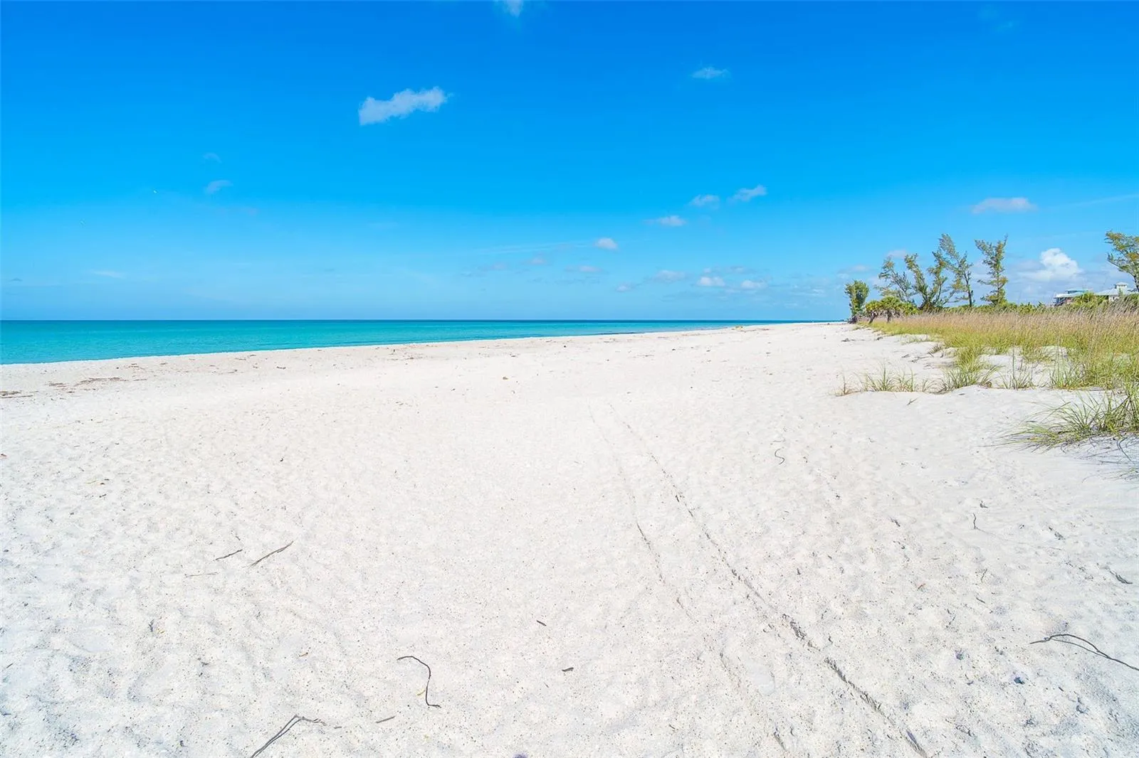 White Sand, beach treasures and blue/green water in Paradise