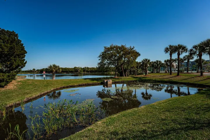 Shores of Long Bayou Grounds