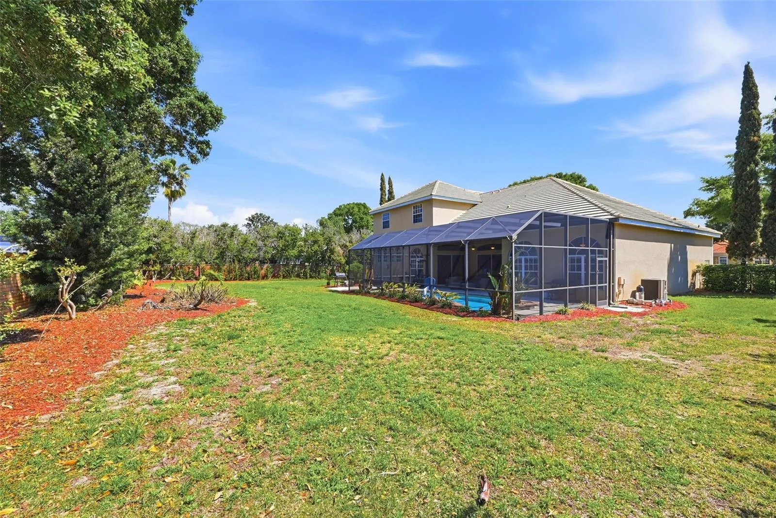 Oversize Backyard