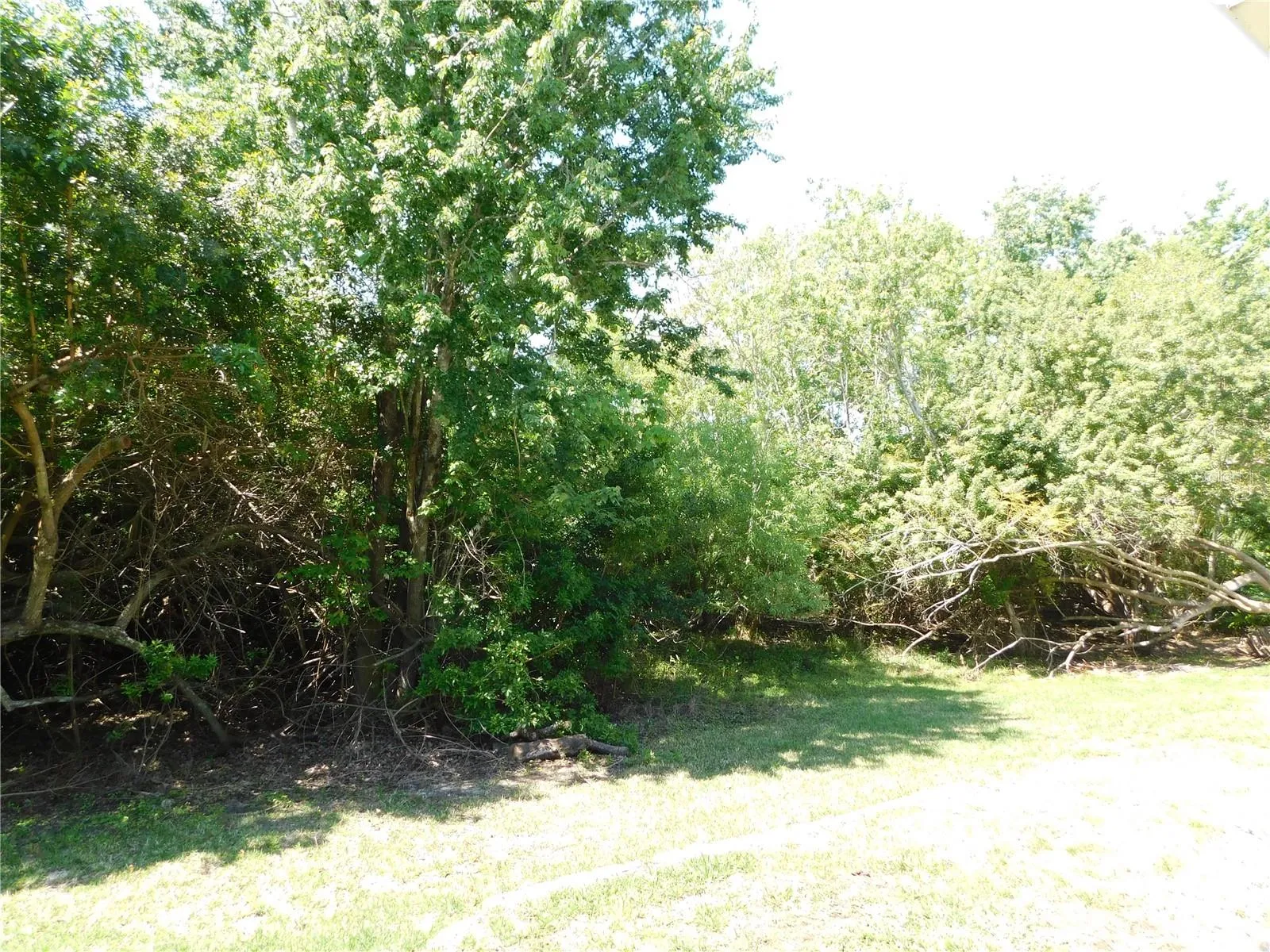 Conservation back yard