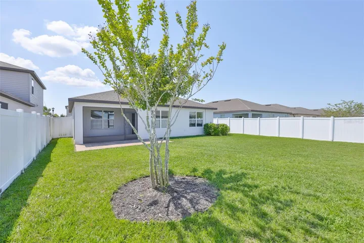 Nice Size backyard
