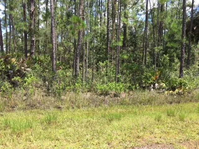 Lot view