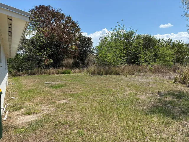 Back yard is spacious Blank Slate
