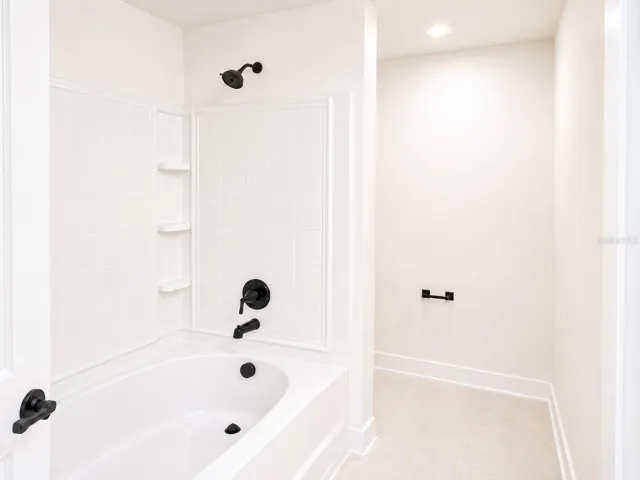 Master Shower/Tub