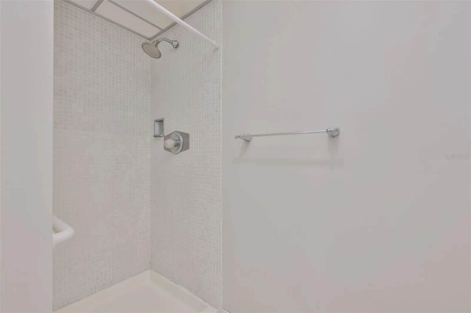 Primary Shower