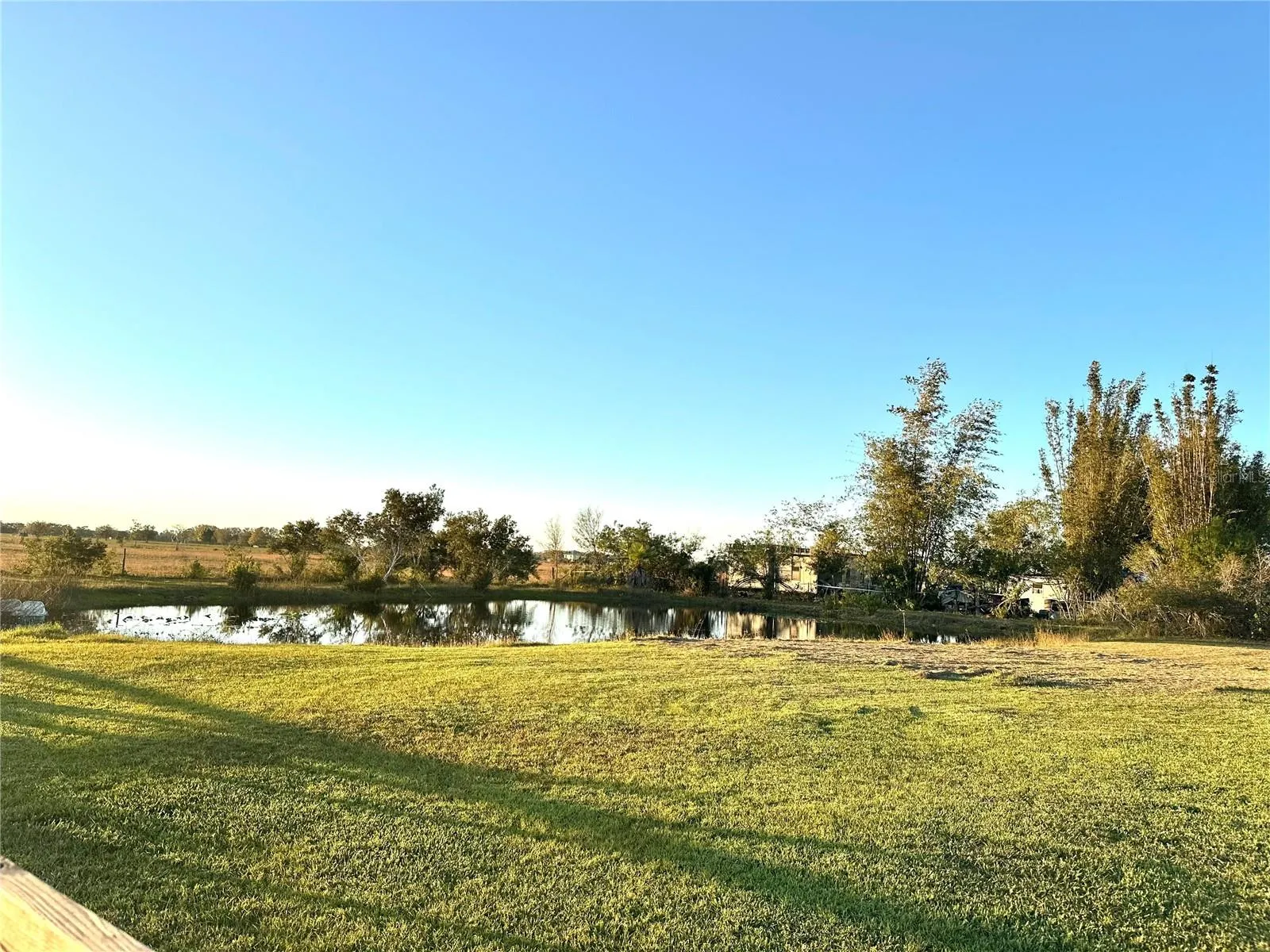 Pond Area