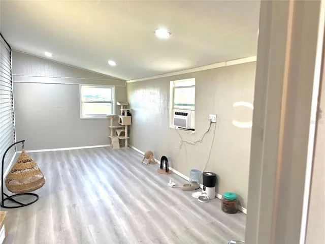 Bonus room/office