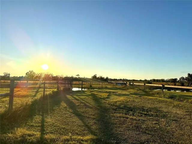 Pasture