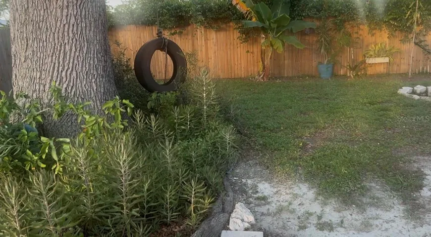 entertain in the back yard