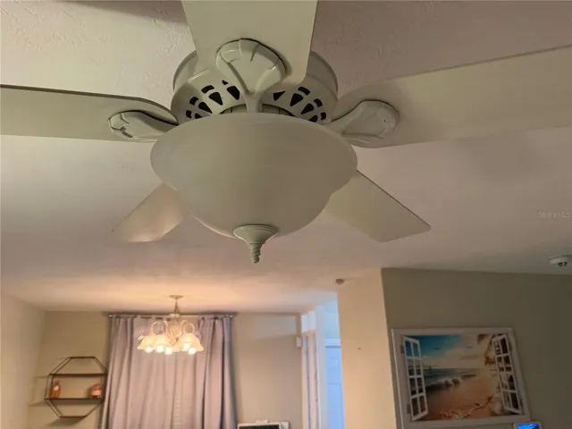 Living room fan