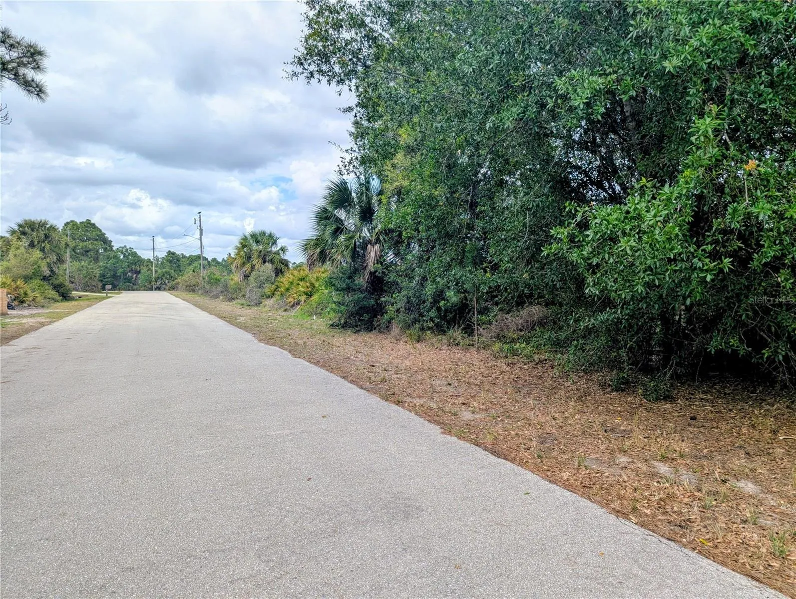 RESIDENTIAL LOT of VACANT LAND. Just under 1/4 Acre (.23 acre) View from the paved street in front of lot looking northward. Electrical lines and poles extend down across the street from the lot toward the lot.