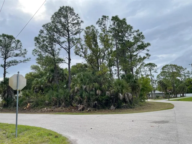 Corner of Ananas Road and Jericho Avenue